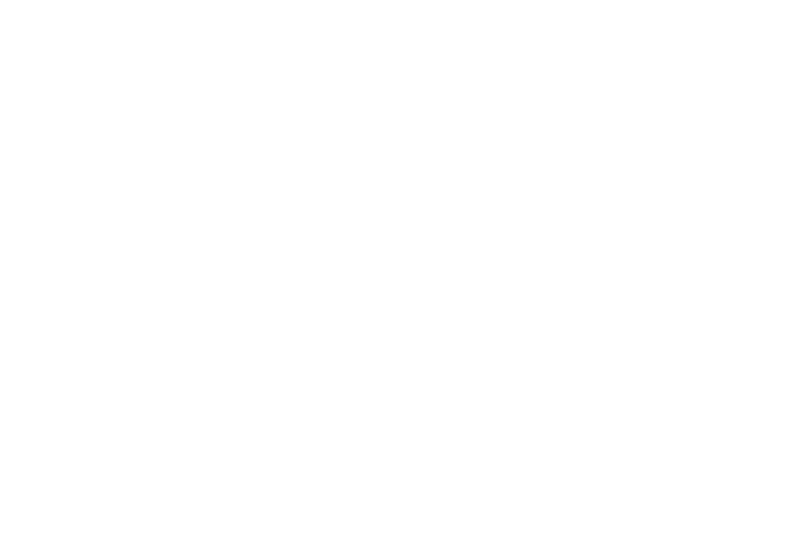 EMU Electronic AG